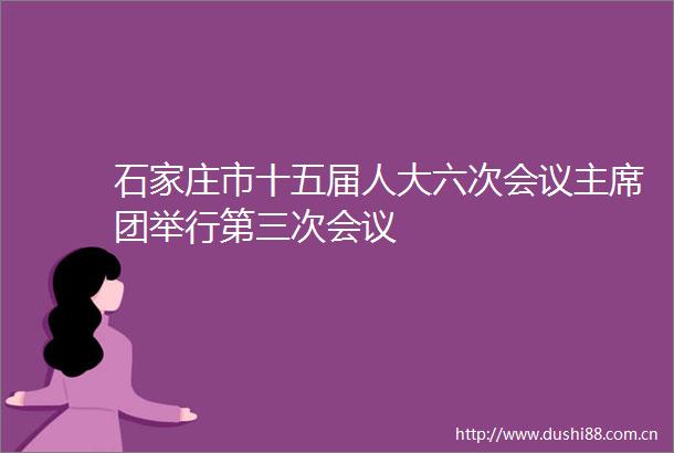 石家庄市十五届人大六次会议团举行第三次会议