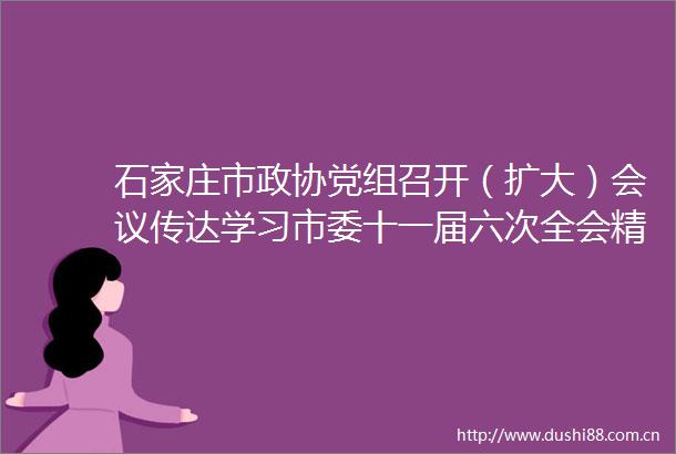石家庄市政协党组召开（扩大）会议传达学习市委十一届六次全会精神