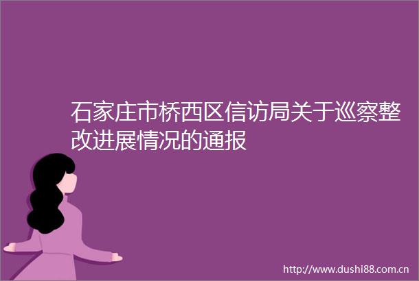 石家庄市桥西区局关于巡察整改进展情况的通报