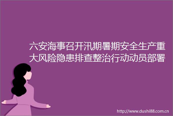 六安海事召开汛期暑期安全生产重大风险隐患排查整治行动动员部署会