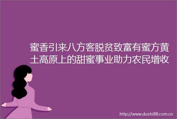 蜜香引来八方客脱贫致富有蜜方黄土高原上的甜蜜事业助力农民增收