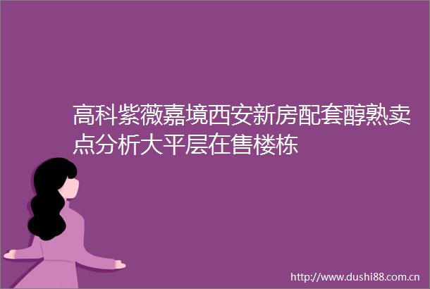 高科紫薇嘉境西安新房配套醇熟卖点分析大平层在售楼栋