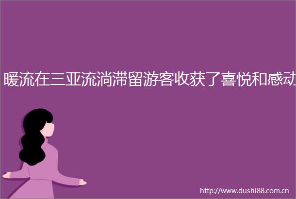 暖流在三亚流淌滞留游客收获了喜悦和感动