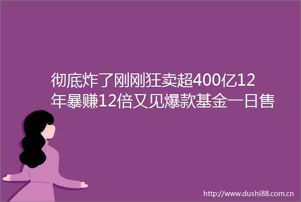 彻底炸了刚刚狂卖超400亿12年暴赚12倍又见爆款基金一日售罄
