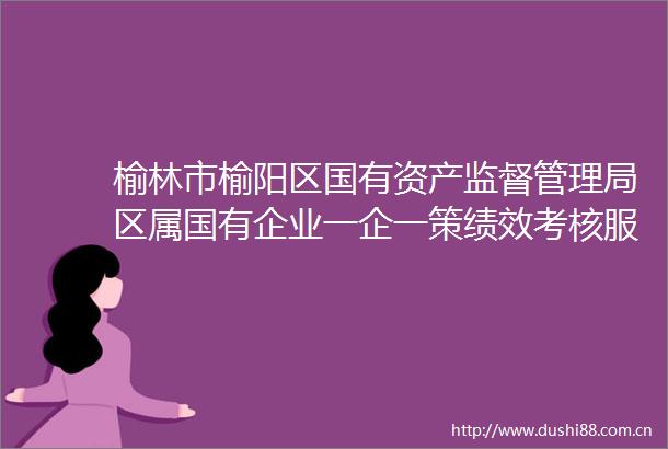 榆林市榆阳区国有资产监督管理局区属国有企业一企一策绩效考核服务项目招标公告