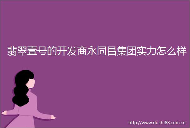 翡翠壹号的开发商永同昌集团实力怎么样