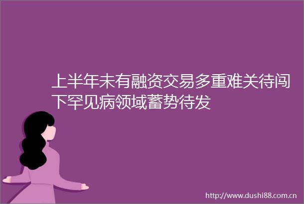上半年未有融资交易多重难关待闯下罕见病领域蓄势待发