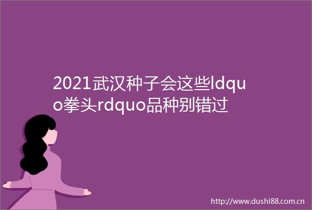 2021武汉种子会这些ldquo拳头rdquo品种别错过