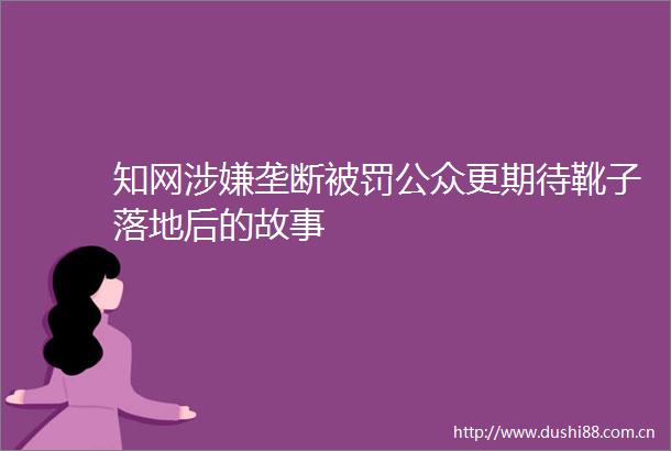 知网垄断公众更期待靴子落地后的故事