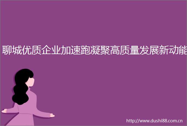 聊城优质企业加速跑凝聚高质量发展新动能