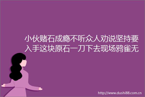 小伙赌石成瘾不听众人劝说坚持要入手这块原石一刀下去现场鸦雀无声