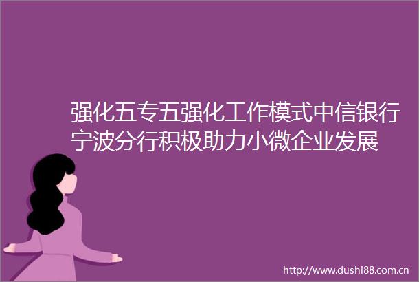 强化五专五强化工作模式中信银行宁波分行积极助力小微企业发展