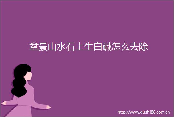 盆景山水石上生白碱怎么去除
