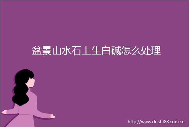 盆景山水石上生白碱怎么处理