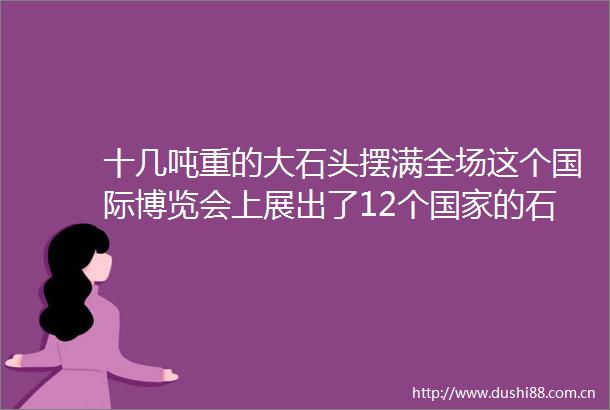 十几吨重的大石头摆满全场这个国际博览会上展出了12个的石材