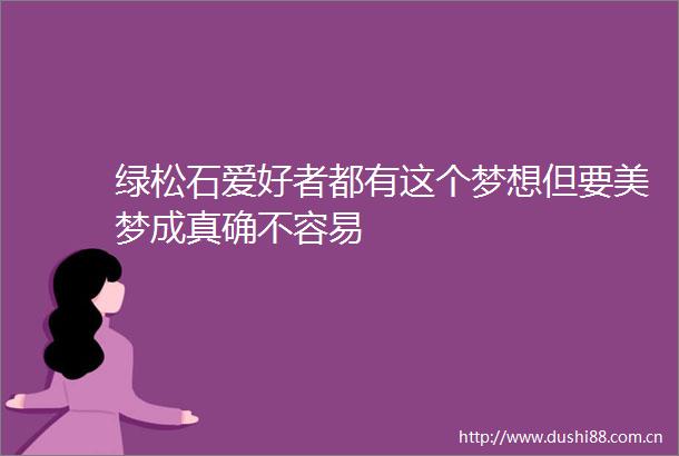绿松石爱好者都有这个梦想但要美梦成真确不容易