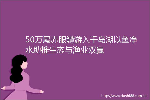 50万尾赤眼鳟游入千岛湖以鱼净水助推生态与渔业双赢
