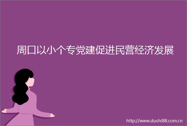 周口以小个专党建促进民营经济发展