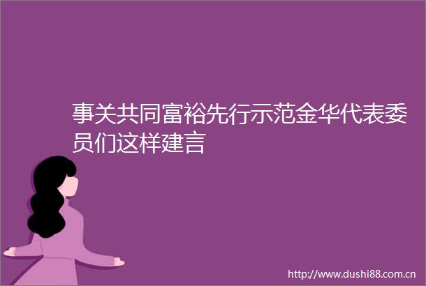 事关共同富裕先行示范金华代表委员们这样建言