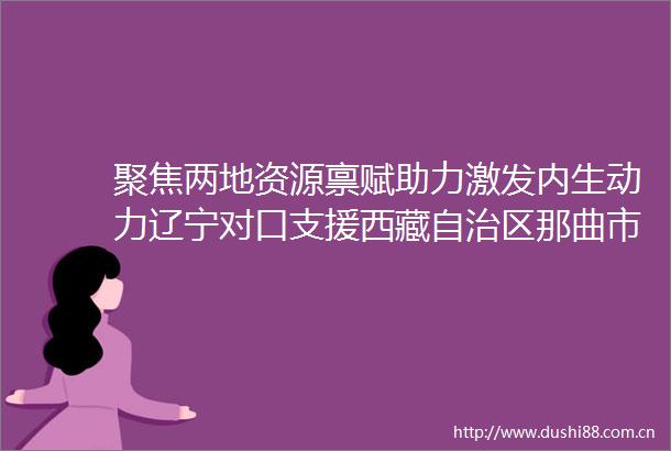 聚焦两地资源禀赋助力激发内生动力辽宁对口支援西藏自治区那曲市产业发展综述
