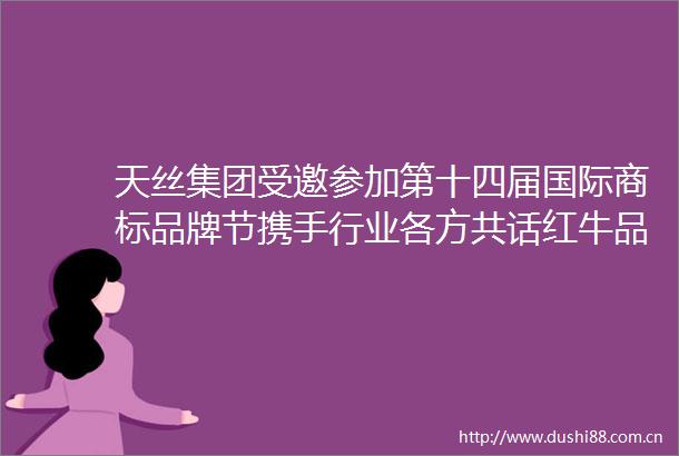 天丝集团受邀参加第十四届国际商标品牌节携手行业各方共话红牛品牌保护