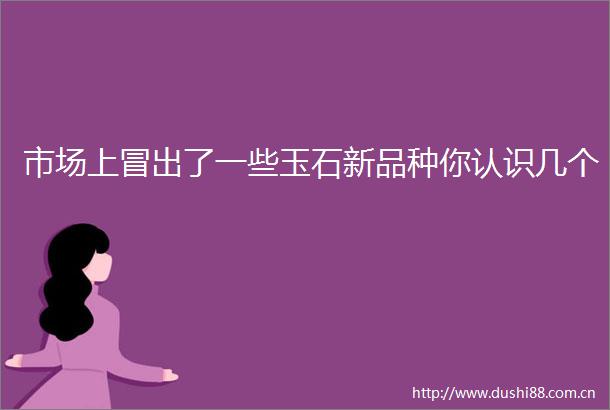 市场上冒出了一些玉石新品种你认识几个