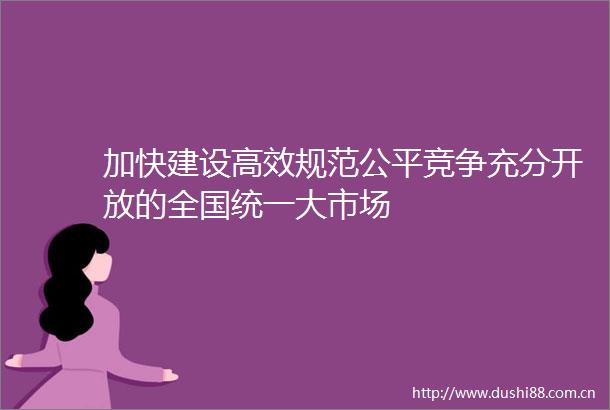 加快建设高效规范公平竞争充分开放的全国统一大市场