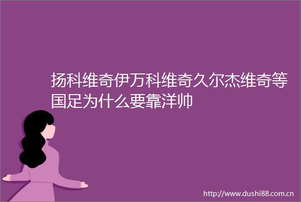 扬科维奇伊万科维奇久尔杰维奇等国足为什么要靠洋帅