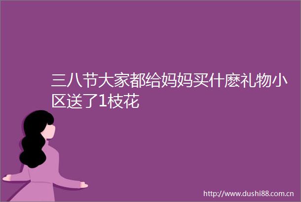三八节大家都给妈妈买什麽礼物小区送了1枝花