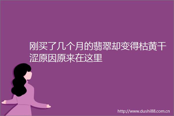 刚买了几个月的翡翠却变得枯黄干涩原因原来在这里