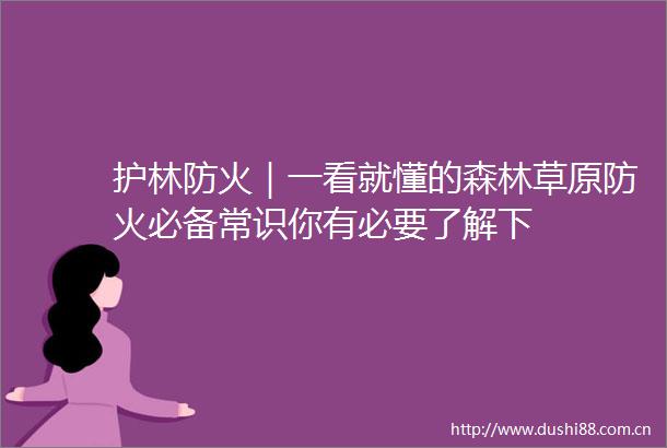 护林防火｜一看就懂的森林草原防火必备常识你有必要了解下