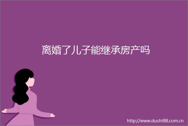 离婚了儿子能继承房产吗
