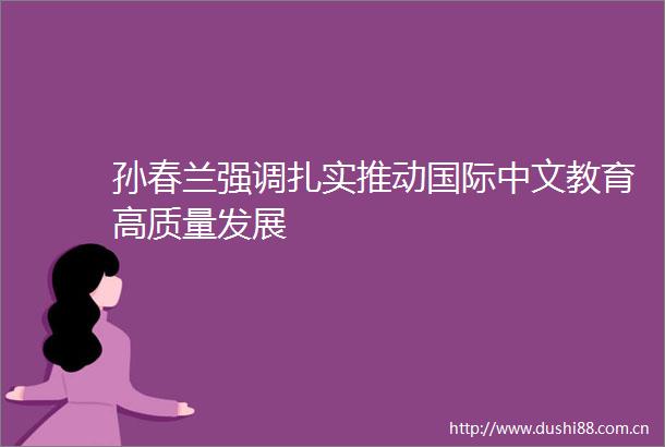 孙春兰强调扎实推动国际中文教育高质量发展