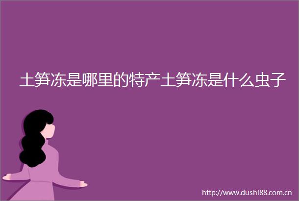 土笋冻是哪里的特产土笋冻是什么虫子