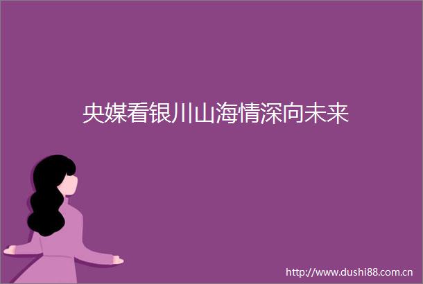 央媒看银川山海情深向未来