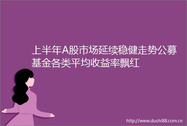 上半年A股市场延续稳健走势公募基金各类平均收益率飘红