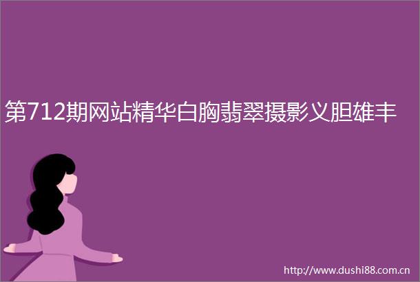 第712期网站精华白胸翡翠摄影义胆雄丰