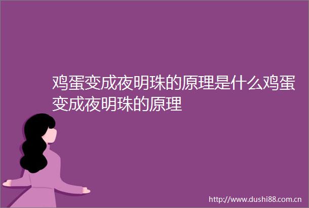鸡蛋变成夜明珠的原理是什么鸡蛋变成夜明珠的原理