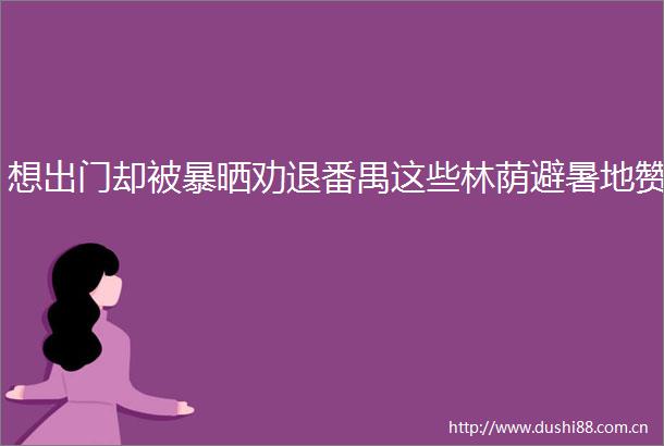 想出门却被暴晒劝退番禺这些林荫避暑地赞
