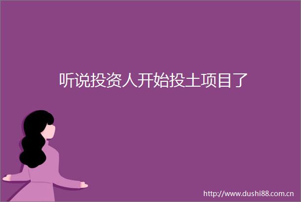 听说投资人开始投土项目了
