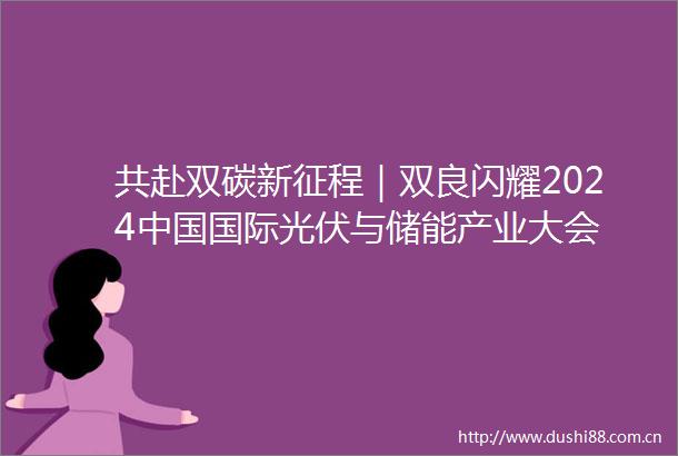 共赴双碳新征程｜双良闪耀2024国际光伏与储能产业大会