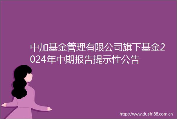 中加基金管理有限公司旗下基金2024年中期报告提示性公告