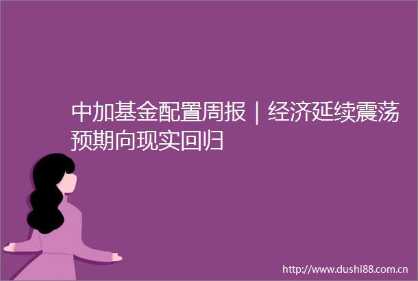 中加基金配置周报｜经济延续震荡预期向现实回归
