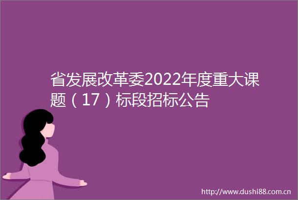 省发展改革委2022年度重大课题（17）标段招标公告
