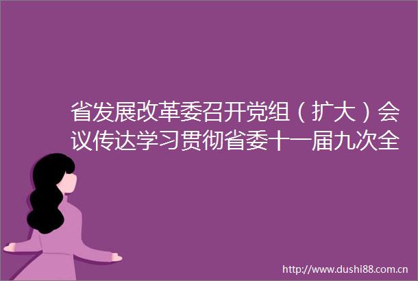 省发展改革委召开党组（扩大）会议传达学习贯彻省委十一届九次全会精神