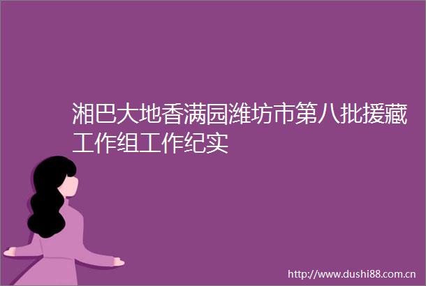湘巴大地香满园潍坊市第八批援藏工作组工作纪实