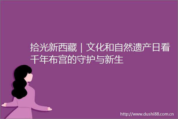 拾光新西藏｜文化和自然遗产日看千年布宫的守护与新生