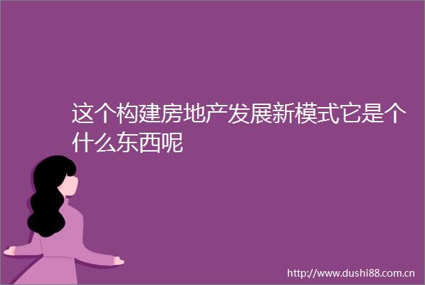 这个构建房地产发展新模式它是个什么东西呢