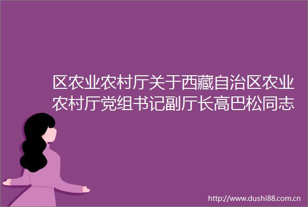 区农业农村厅关于西藏自治区农业农村厅党组书记副厅长高巴松同志和党组副书记厅长杜杰同志经济责任审计整改落实情况的