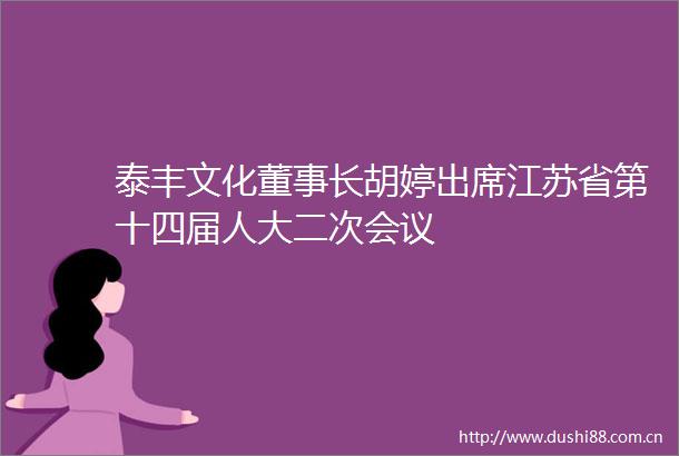 泰丰文化董事长胡婷出席江苏省第十四届人大二次会议